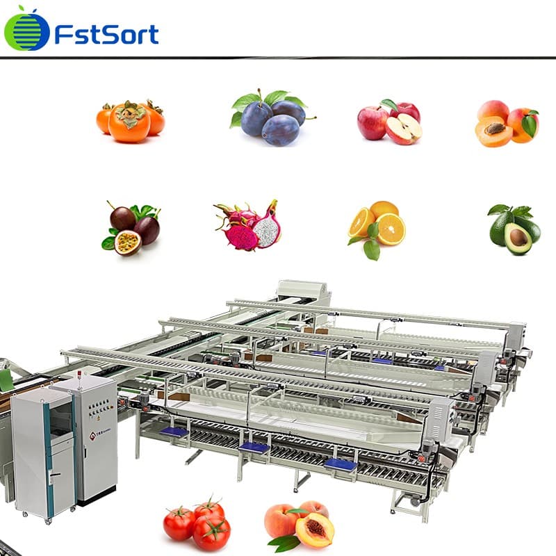 images/1772073575748fruit sorting machine.jpg